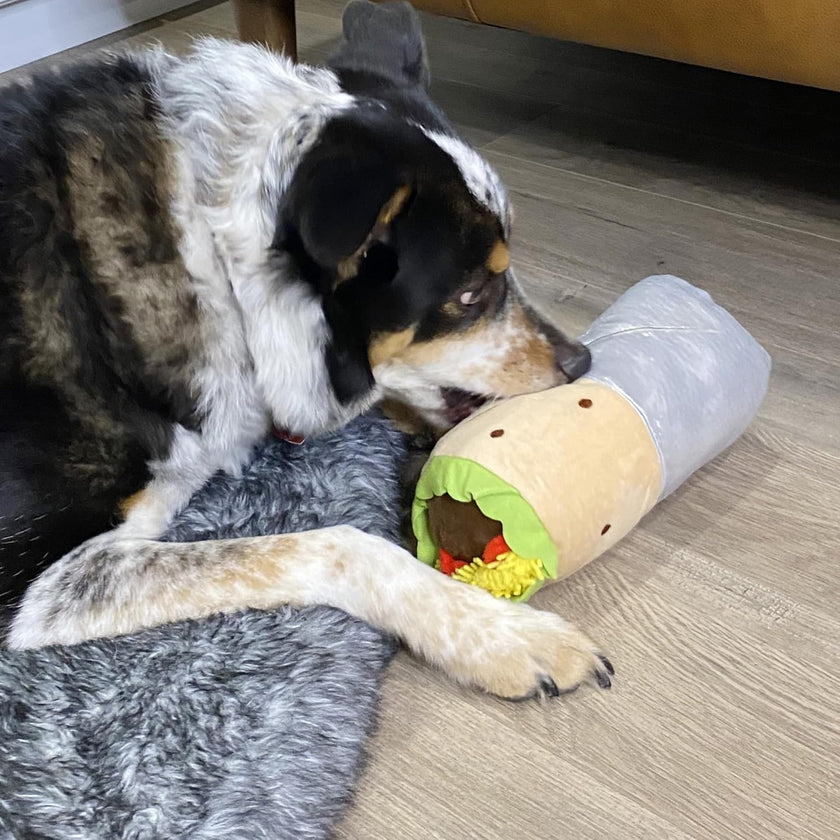 Barkin' Burrito Squeaker