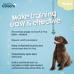 Coachi Toilet Training Bells - Navy & Light Blue