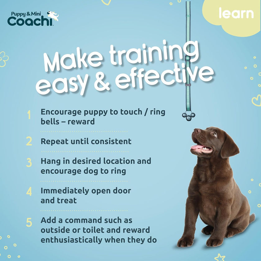 Coachi Toilet Training Bells - Navy & Light Blue