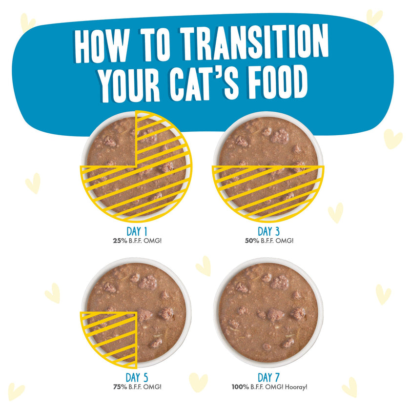 Weruva BFF OMG Gravy! - Chicken Charge Me Up Dinner in Gravy (2.8oz)