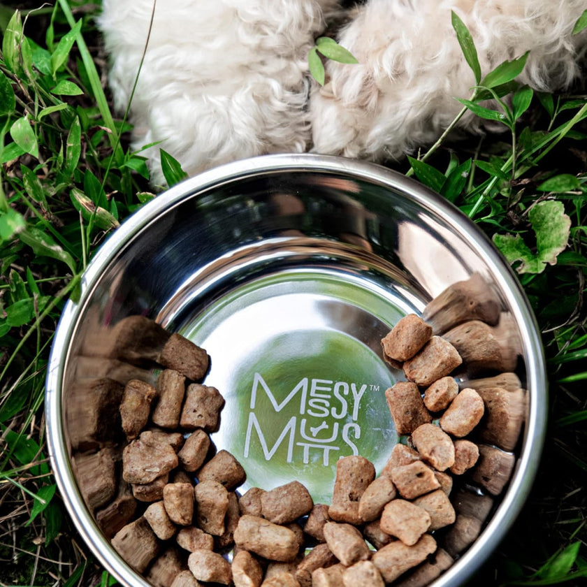  A close-up image showing the heavy-duty dog bowl with its grey silicone non-slip base, 