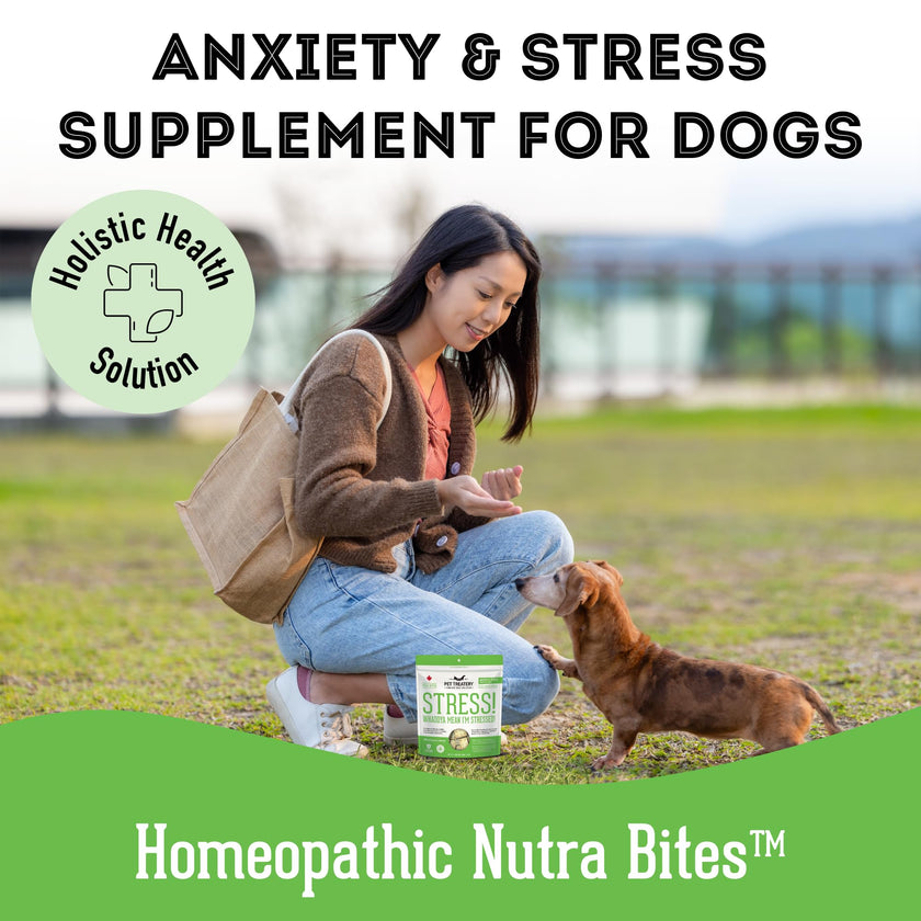Granville Island Pet Treatery - Stress! Whaddya Mean I'm Stressed! - Calming Supplement Dog Treats
