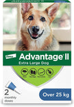 Advantage II - Dog