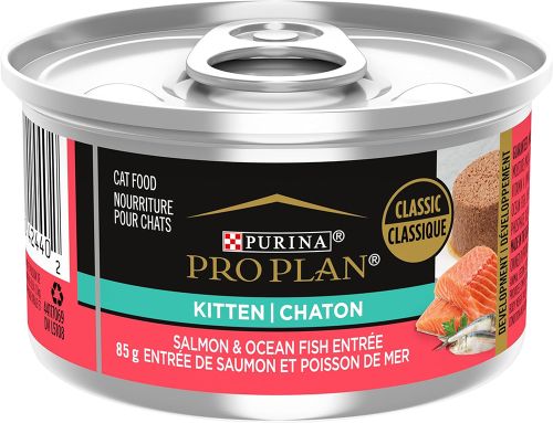  Kitten Salmon Wet Cat Food