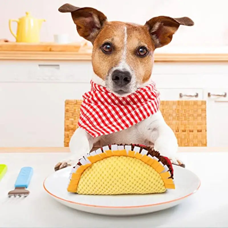 Taco 'Bout Fun Plush