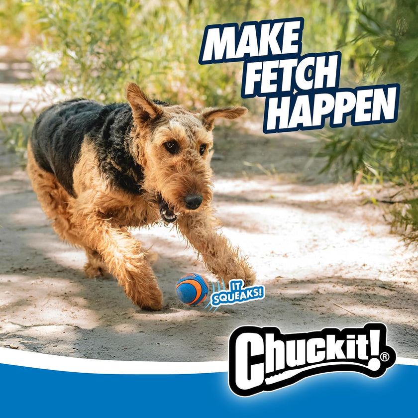 ChuckIt! Ultra Squeaker Ball 