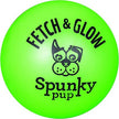 Spunky Pup Fetch & Glow Ball Dog Toy Large