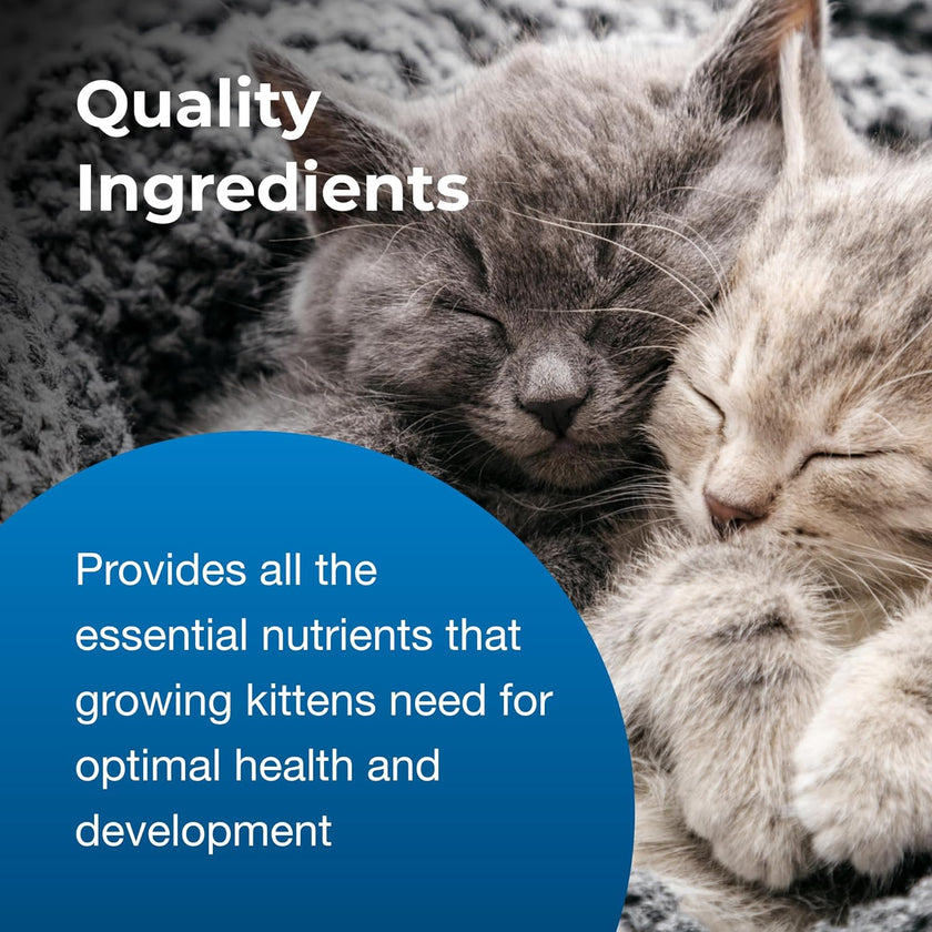 PetAg KMR Kitten Milk Replacer 16oz
