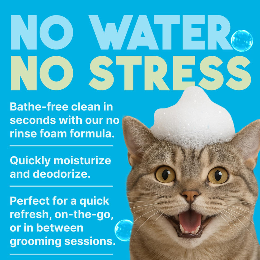 Tropiclean Waterless Cat Shampoo, Dander Reducing Aqua De Coco Scent 7.4oz