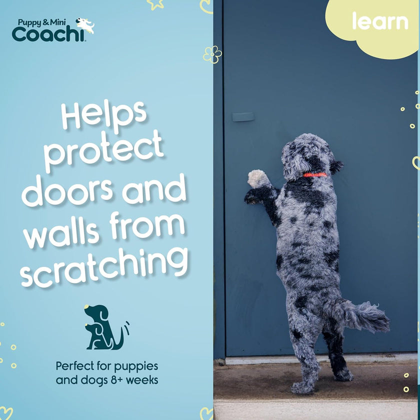 Coachi Toilet Training Bells - Navy & Light Blue