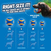ChuckIt! Ultra Squeaker Ball