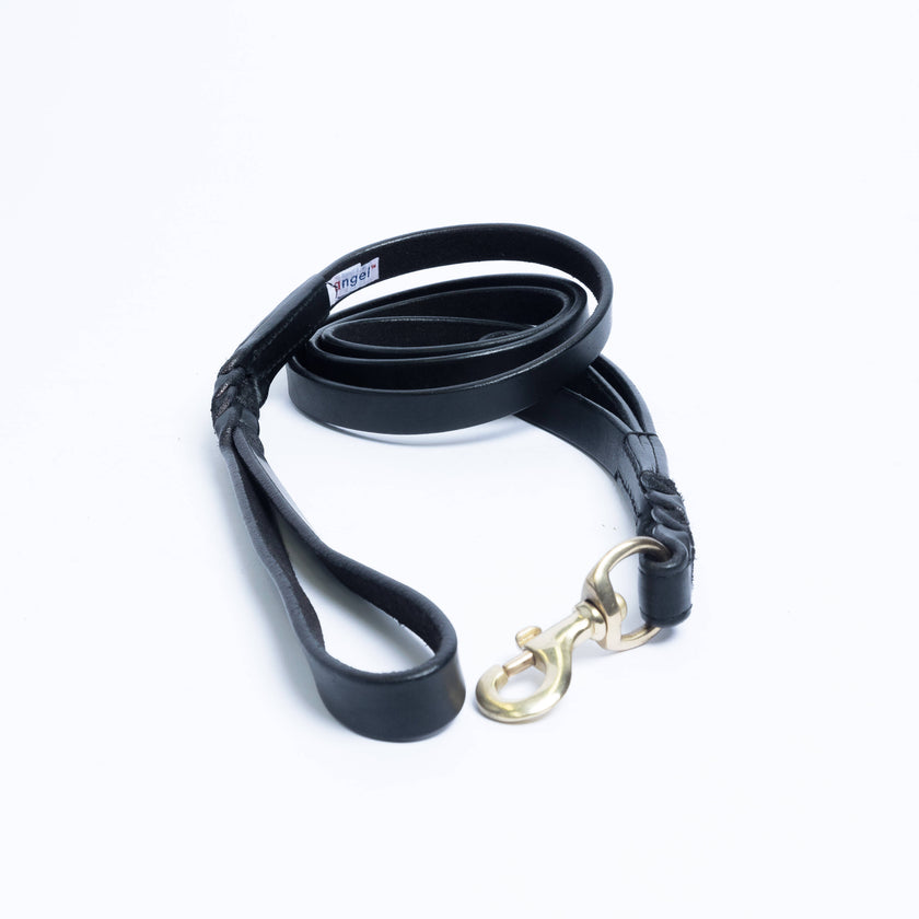 Angel Pet Supplies - Leather Braided Leash - 6ft, Black