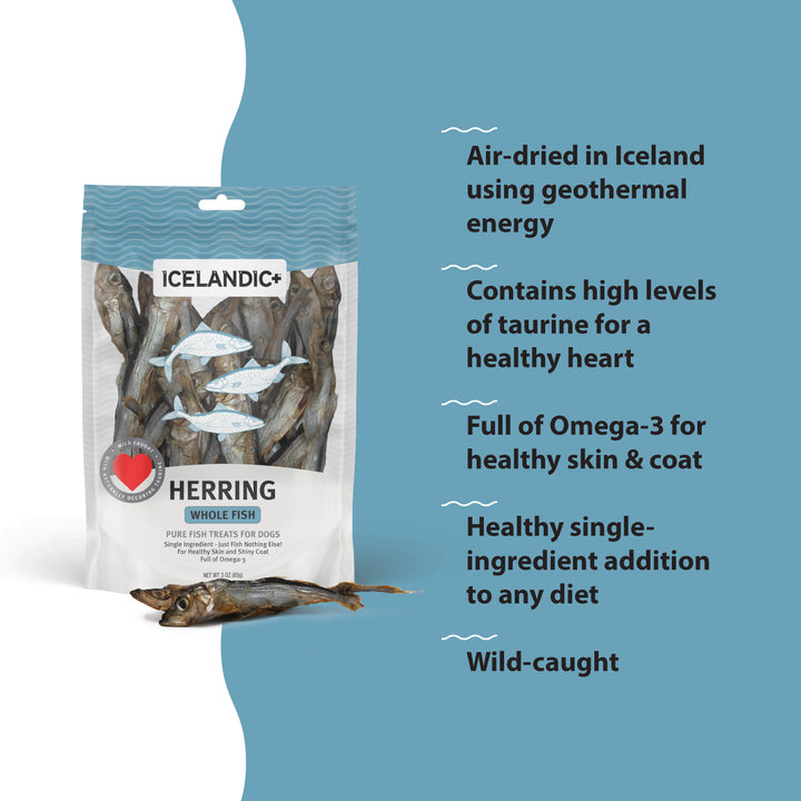 Icelandic+ | Herring Whole Fish For Dogs 3oz