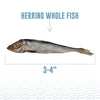Icelandic+ | Herring Whole Fish For Dogs 3oz