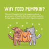 Pumpkin Patch Up