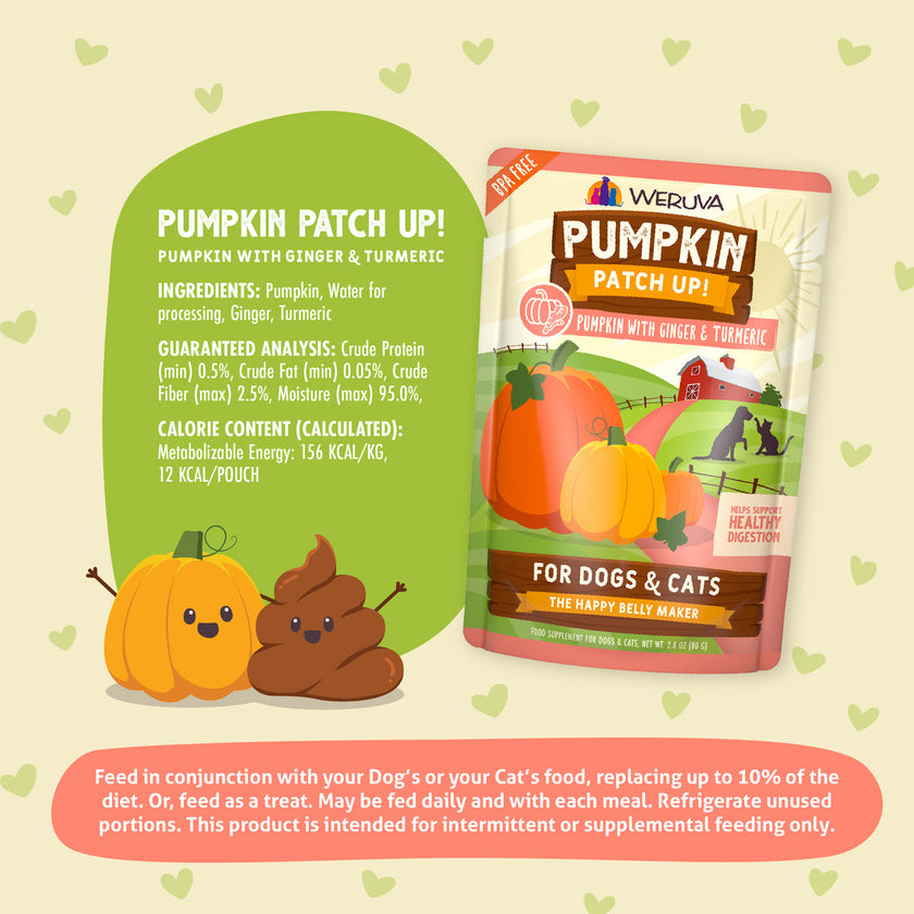 Pumpkin Patch Up Puree