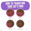 Weruva BFF OMG Gravy! Tuna & Beef Baby Cakes Wet Cat Food Dinner in Gravy 3oz (85g)