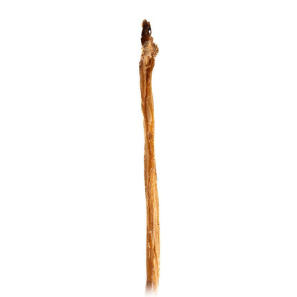 End of Pizzle Stick