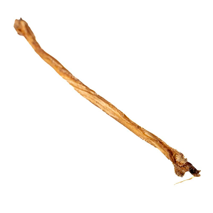 Single Pizzle Stick