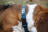 Bamboo Zoom Eco-Friendly Bamboo Collar - Blue