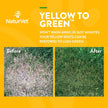 NaturVet - Yellow to Green Lawn Spray 32 oz