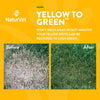NaturVet - Yellow to Green Lawn Spray 32 oz