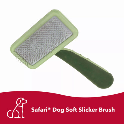 Safari by Coastal Dog Soft Slicker Brush - Medium