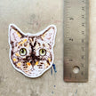 Calico Cat Sticker