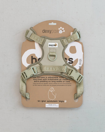 DexyPaws No-Pull Dog Harness green