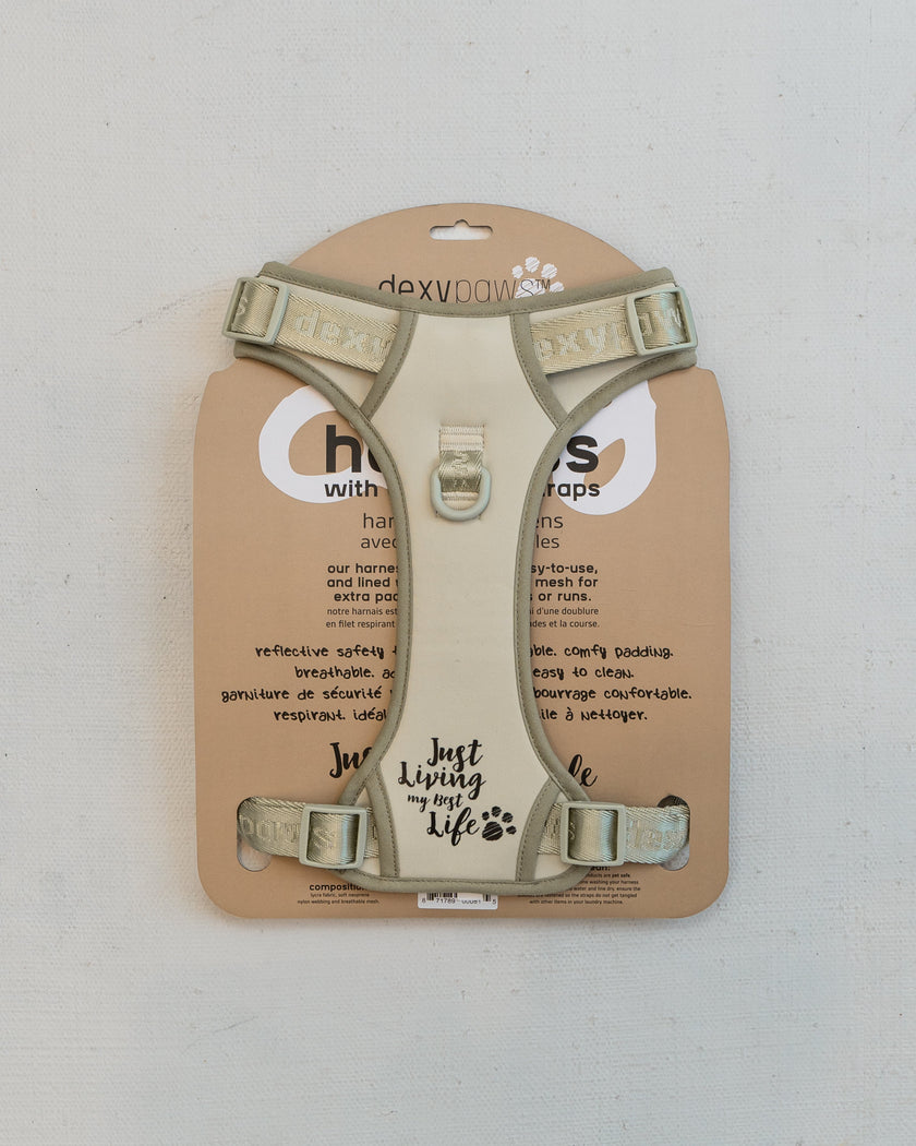 DexyPaws No-Pull Dog Harness green