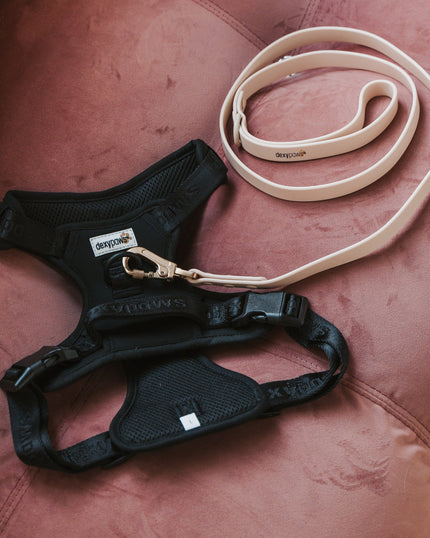 DexyPaws No-Pull Dog Harness black