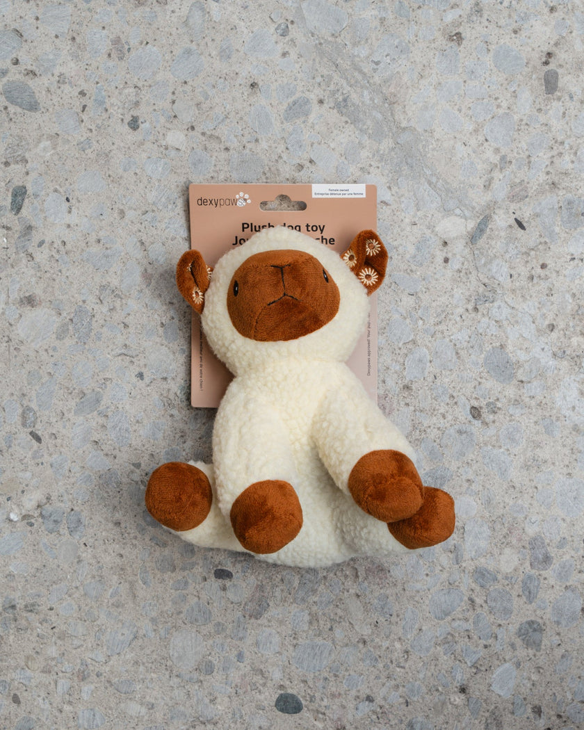 Dexypaws - Plush Dog Toy - Sheep