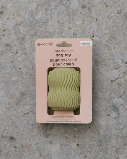 Dexypaws Interactive Aggressive Dog Chew - Sage Green