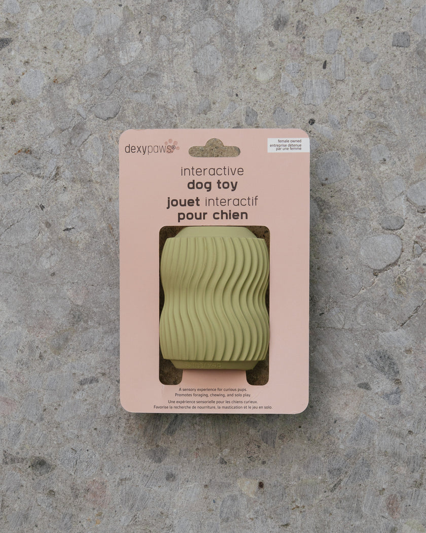 Dexypaws Interactive Aggressive Dog Chew - Sage Green