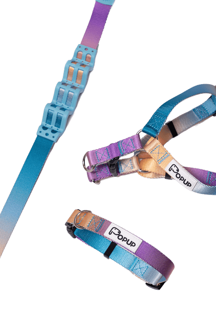 PoPupJoys AURA Dog Collar, Medium