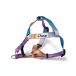 PoPupJoys AURA Dog Harness, Large
