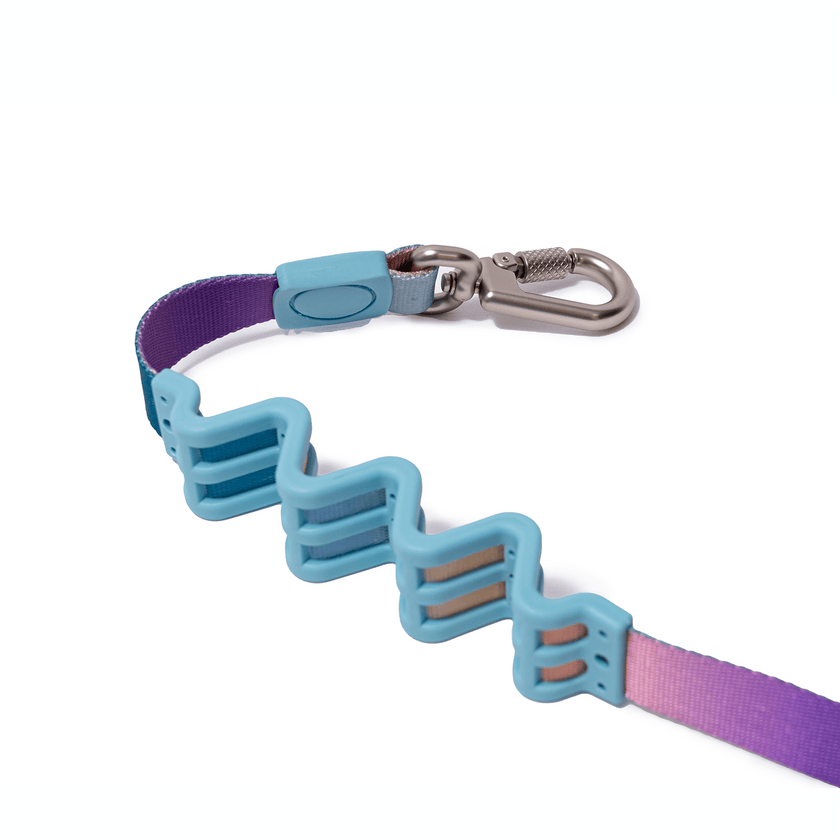 PoPupJoys AURA Dog Leash, Large