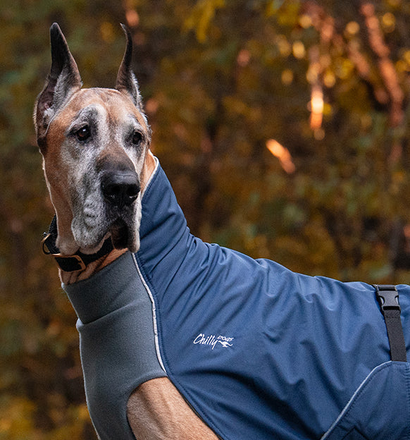 Chilly Dogs - Alpine Blazer 3-Season Dog Coat