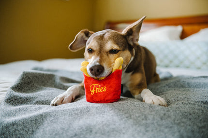 American Classic Frenchie Fries Toy