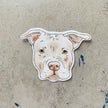 Pit Bull Sticker