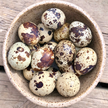Big Country Raw Frozen Quail Eggs for Dogs & Cats - Raw Whole Food Topper - 18 Count