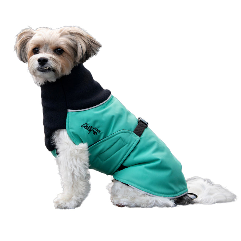 Chilly Dogs - Great White North Winter Dog Coat - Broad & Burly