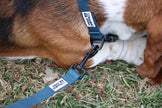 Bamboo Zoom Eco-Friendly Bamboo Leash - Blue