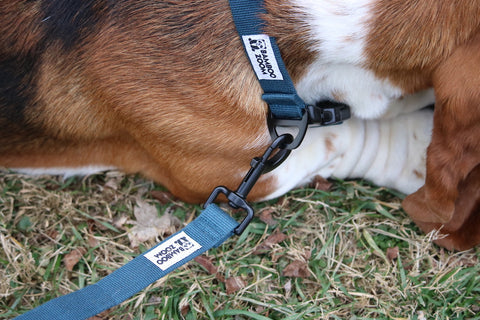 Bamboo Zoom Eco-Friendly Bamboo Leash - Blue
