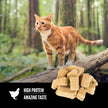 Orijen Freeze Dried Cat Treats - Original, Regional Red, Six Fish, Tundra Recipe