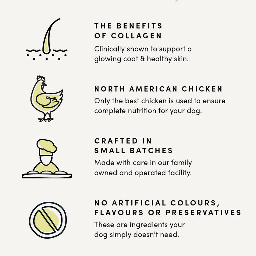 Chicken Collagen Jerky Treats Dog 