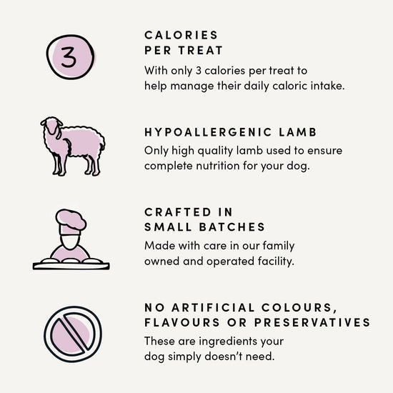 Crumps - Mini Trainers - Soft & Chewy Lamb Bites(300g)