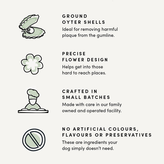 Crumps - Plaque Busters Bacon Dog Dental Sticks (255g)