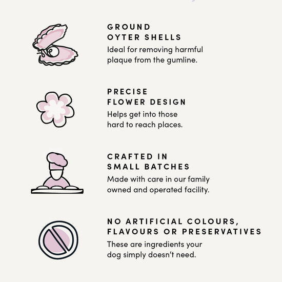 Crumps - Plaque Busters Original Dog Dental Sticks (270g)