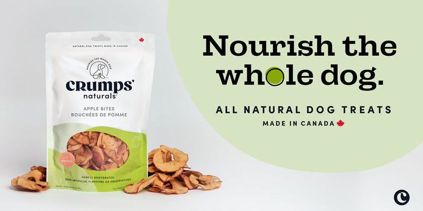 Crumps - Gently Dehydrated Apple Bites Dog Treats (120g)